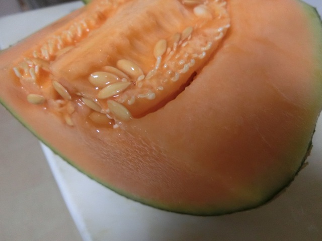 CIMG0347.JPG