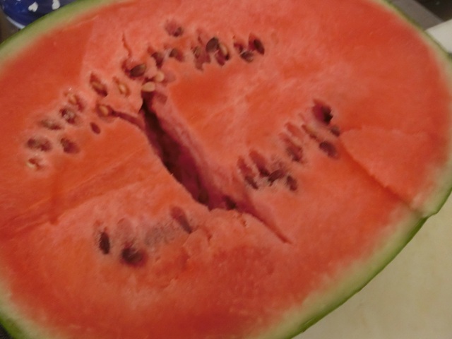CIMG0420.JPG