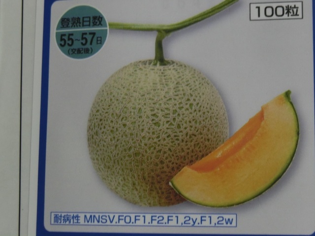 CIMG2338.JPG