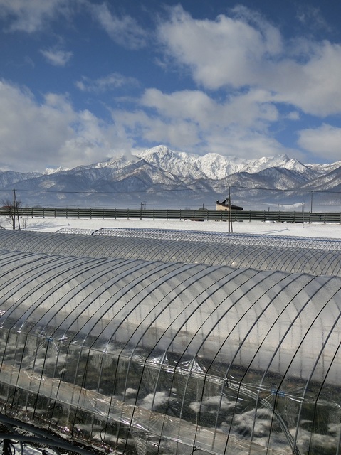 CIMG7018.JPG