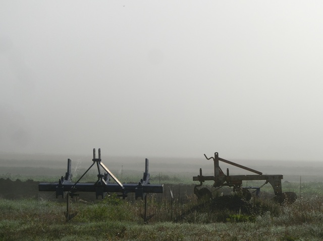 CIMG9758.JPG