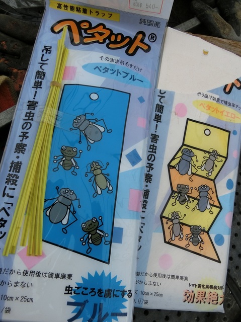 イメージ 1
