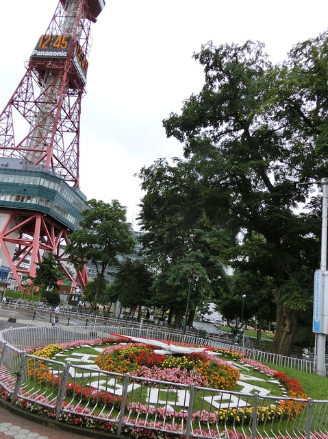 すみれの花時計 富良野ｋａｎｏ ｆａｒｍ